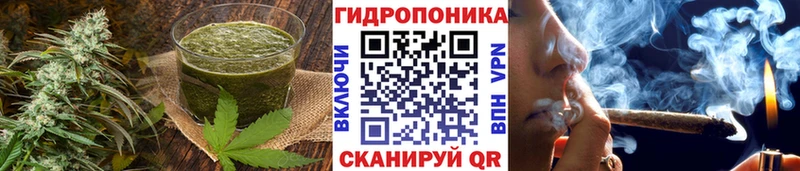 blacksprut ссылки  где можно купить   Кирс  Печенье с ТГК конопля 