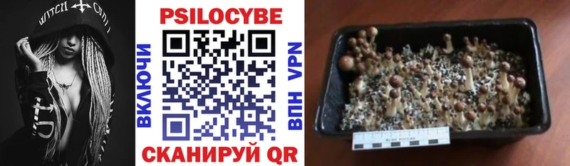 Галлюциногенные грибы Magic Shrooms Кирс