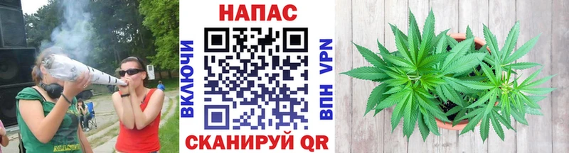 наркота  Кирс  это наркотические препараты  Бошки марихуана марихуана 